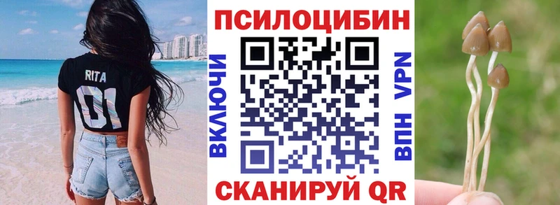 гидра сайт  Димитровград  Галлюциногенные грибы MAGIC MUSHROOMS 