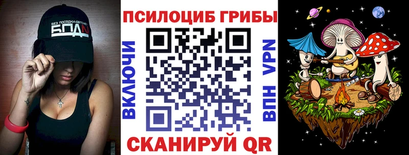Галлюциногенные грибы Psilocybe Димитровград