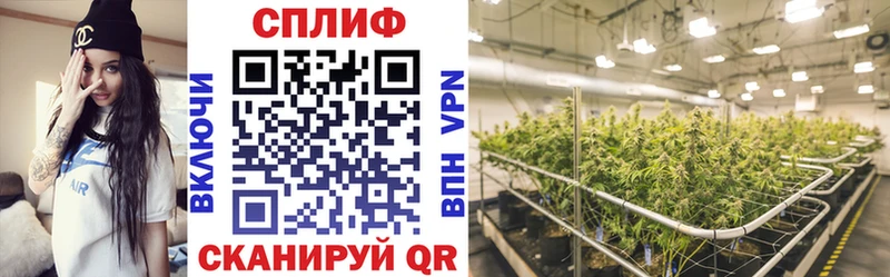 Бошки Шишки ГИДРОПОН  где найти наркотики  Димитровград 